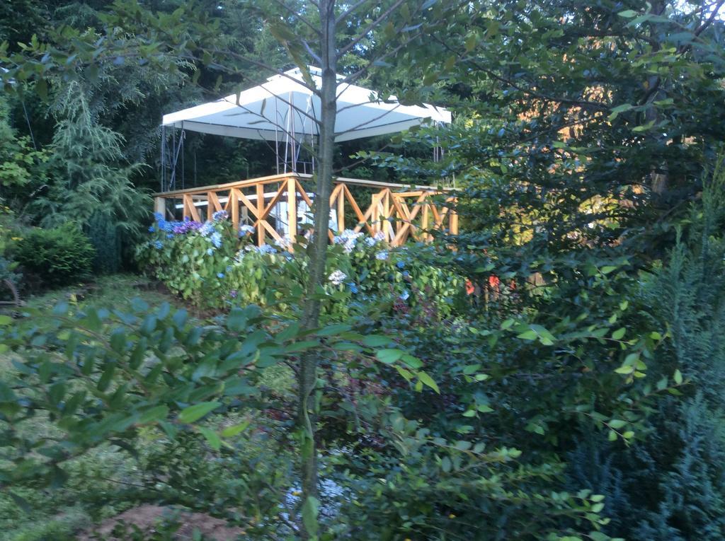 Complejo Cabanas Petalos Villarrica Kültér fotó