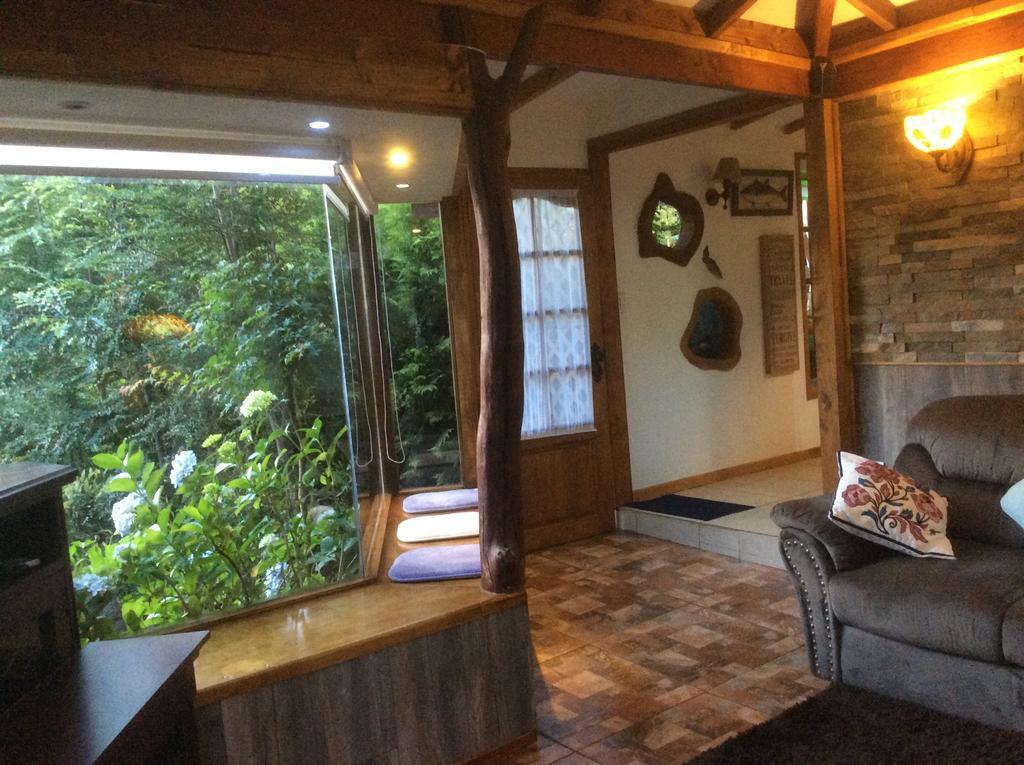 Complejo Cabanas Petalos Villarrica Kültér fotó